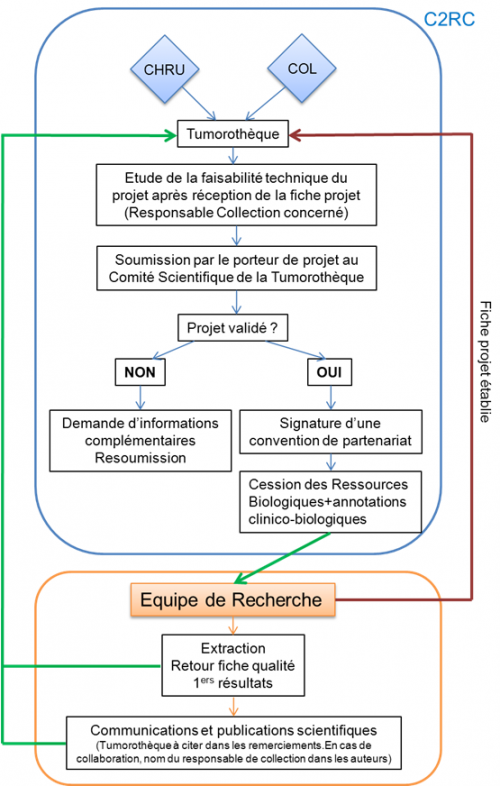 schema schema